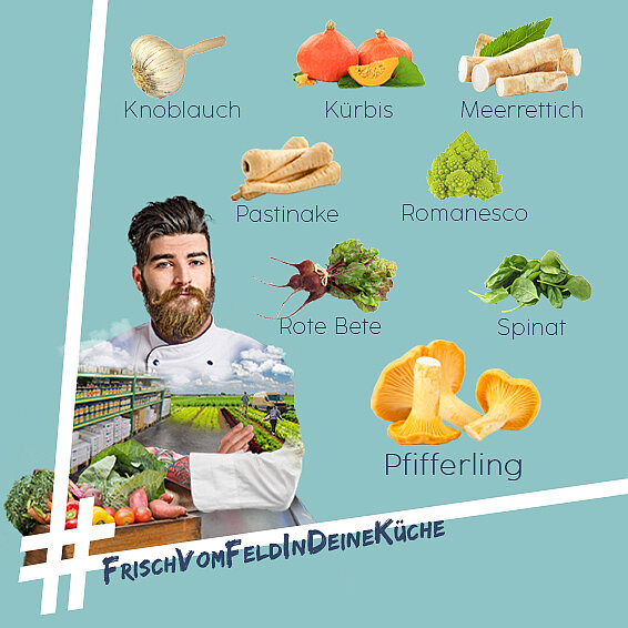 Saisonkalender September