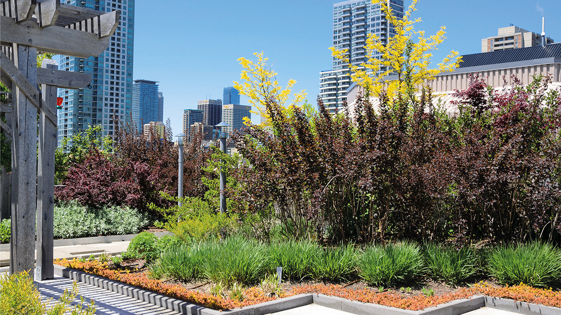 Garten auf einem Häuserdach