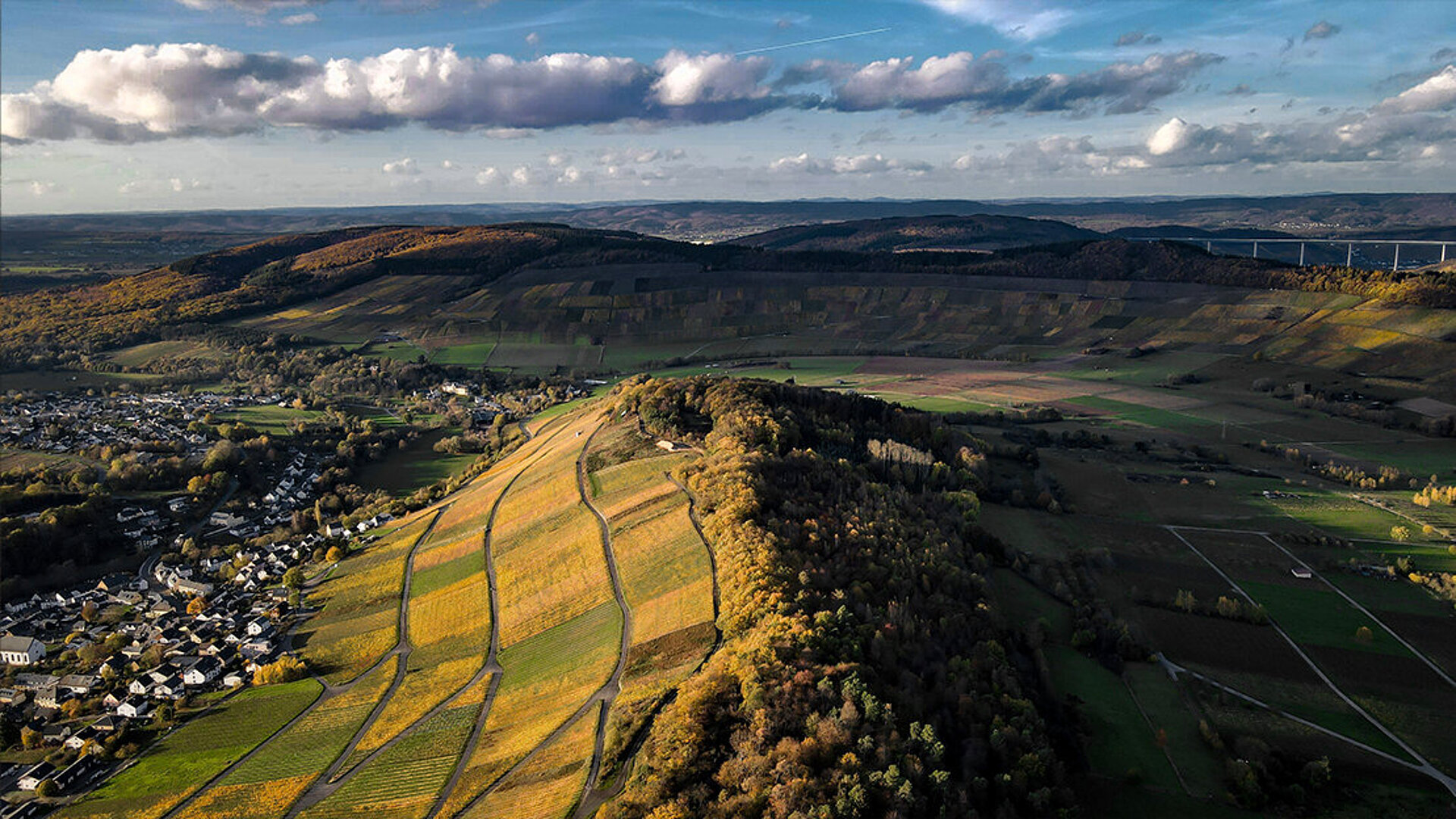 Blick auf die Weinreben