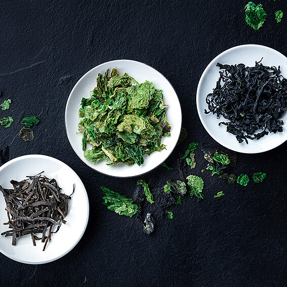 Algen, das Superfood aus dem Meer