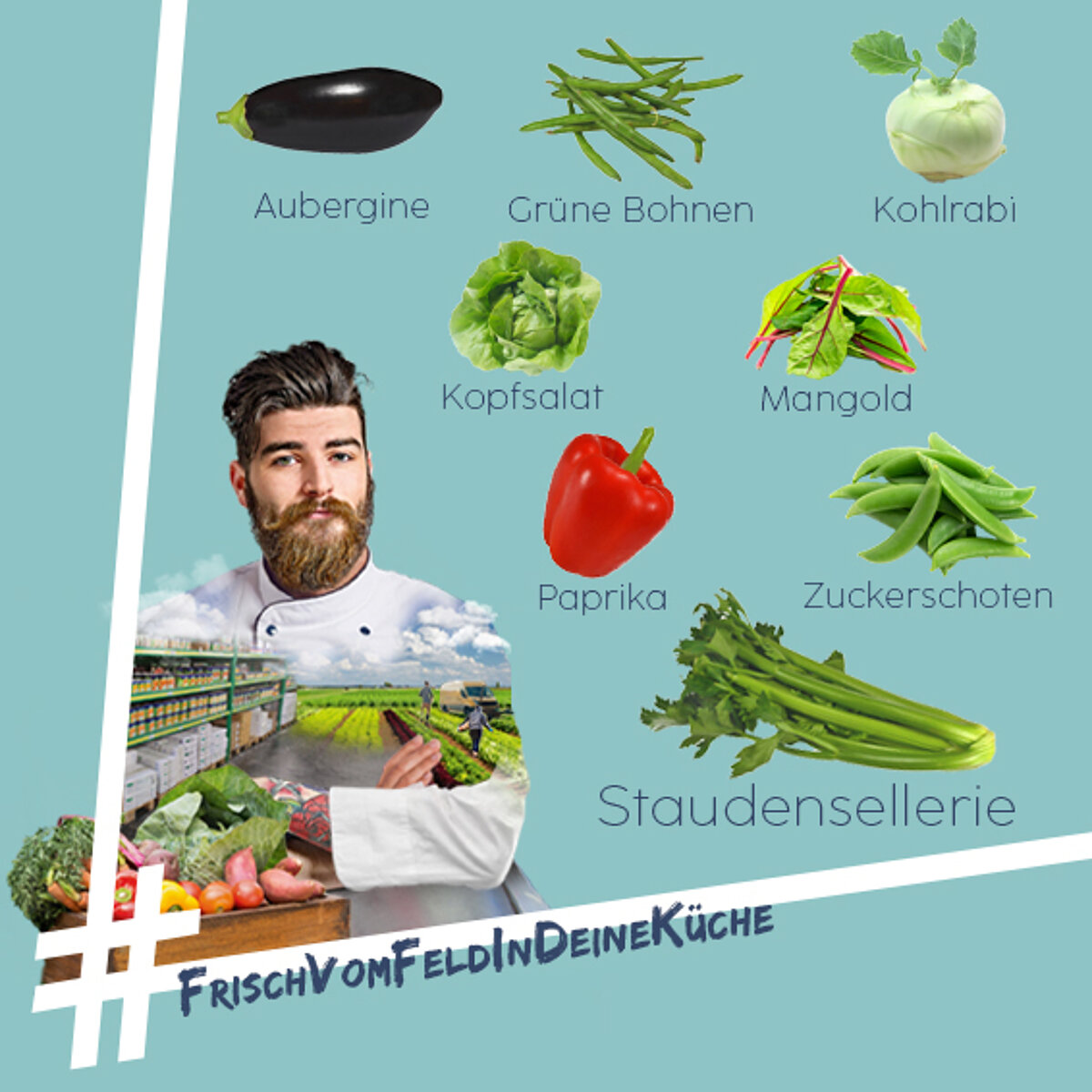 Regionales Gemüse im Juli