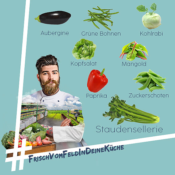 Regionales Gemüse im Juli